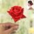 Glass Dome Rose Romantic Gift Set – Elegant LED Décor