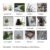 Decorative Pebbles – Multicolor Stones for Garden & Vase | Indo Glow