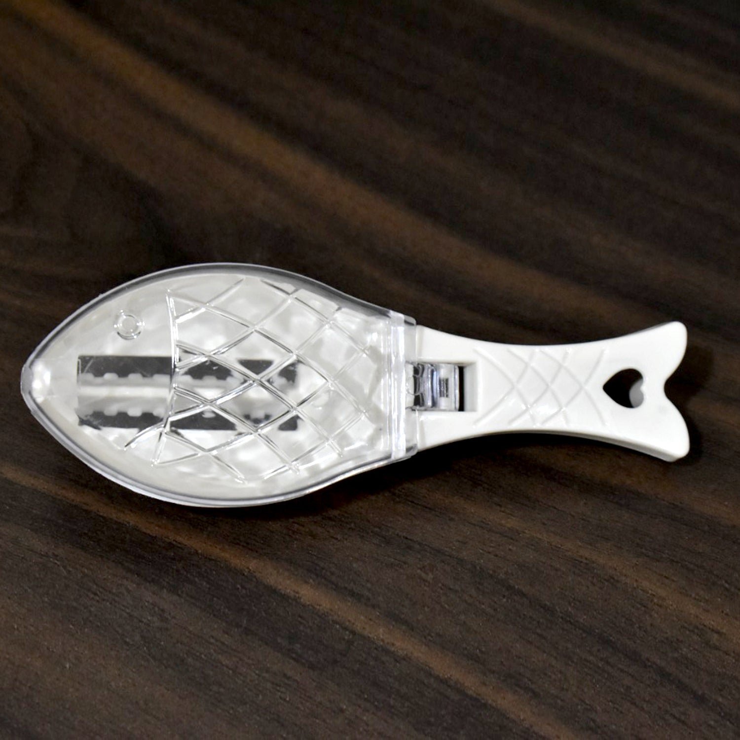 Fish Scale Scraper – Mess-Free Descaling Tool | Quickslice
