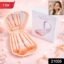 5 in 1 Makeup Brush Set – Compact Kit with Built-in Mirror