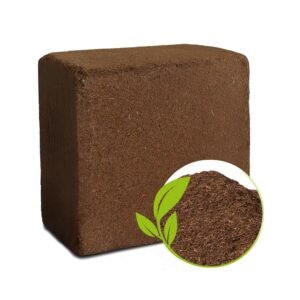 Organic Cocopeat Block – 1 KG Potting Mix for Plants | Styleva