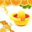 Orange Hand Press Juicer – Durable & Easy Clean | Corporate Kudos