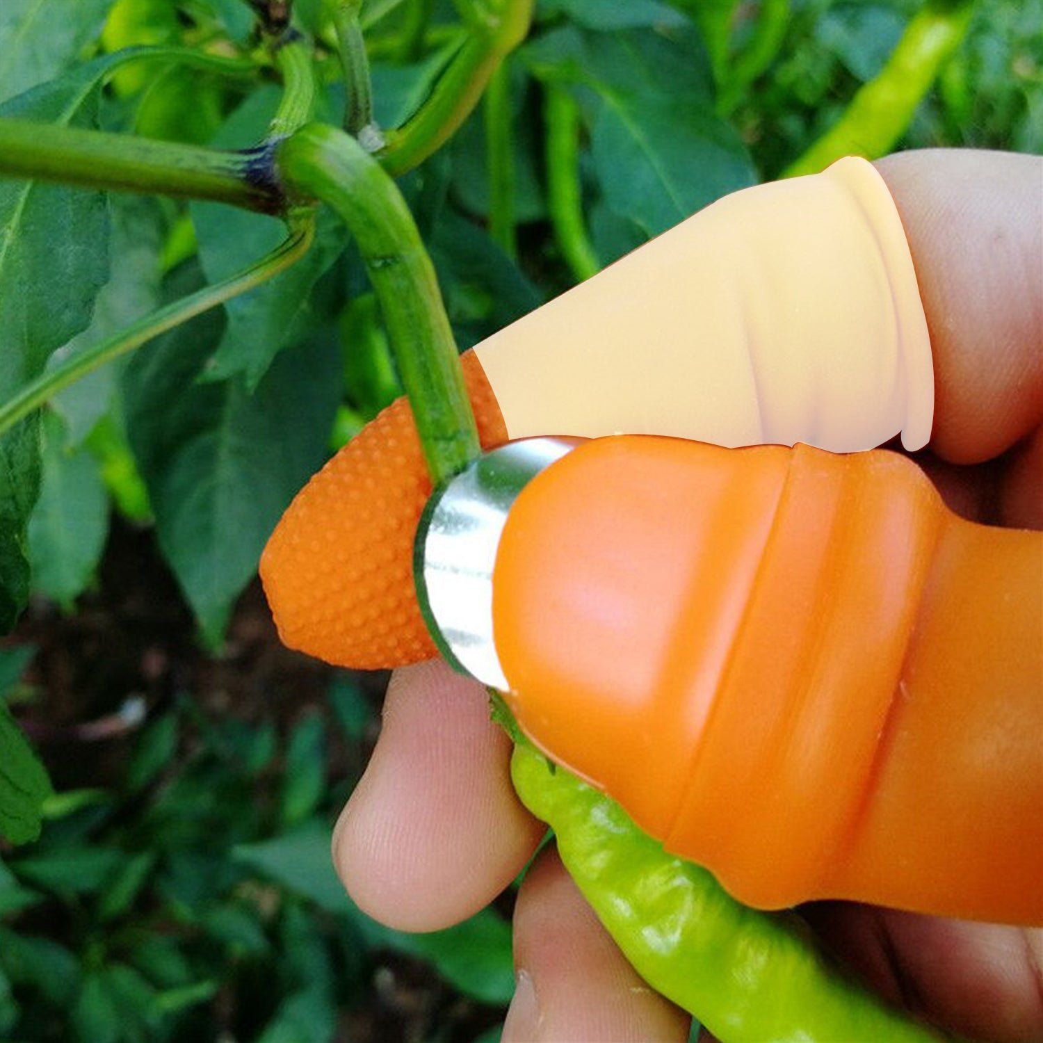 V Thumb Cutter for Vegetables & Fruits – Safe & Handy | Quickslice