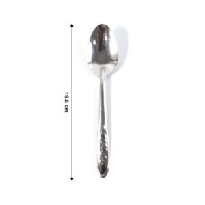 Stainless Steel Table Spoons Set – Elegant 12-Piece Dining Set