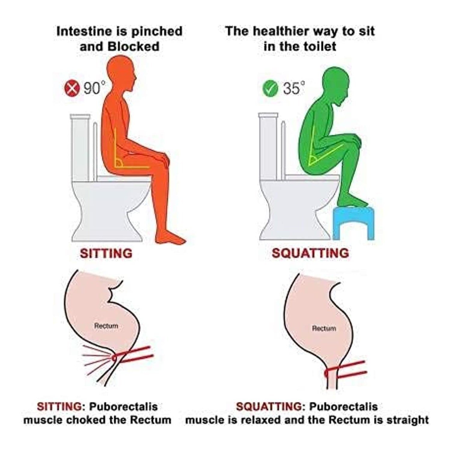 08_toilet-Step-Stool Toilet Squat Stool – Foldable, Non-Slip Bathroom Relief | storenzo