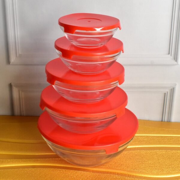 Glass Bowl Set – 5 Pcs Mixing & Storage with Lids | Organivo