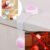 Baby Safety Strap Lock – Secure & Easy Install | Dollovia