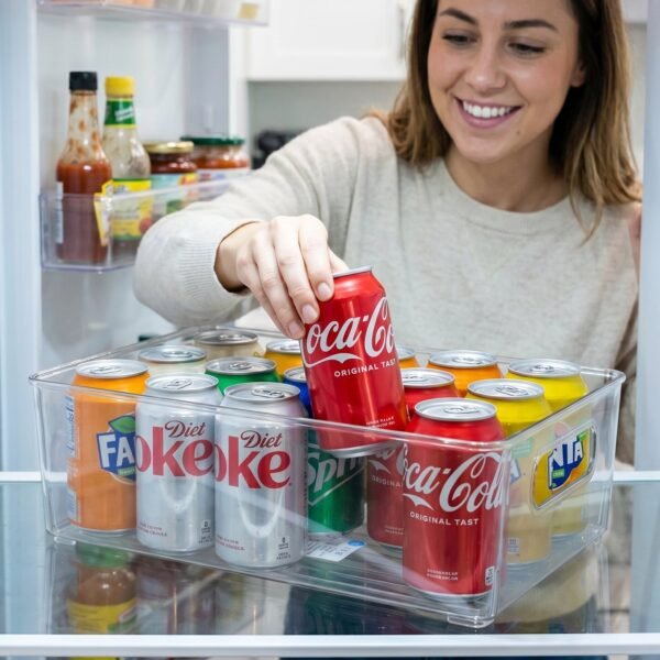Plastic Storage Box Organizer with Handles – Clear & Space-saving