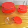 Glass Bowl Set – 5 Pcs Mixing & Storage with Lids | Organivo