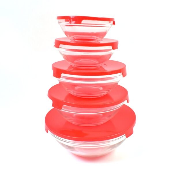 Glass Bowl Set – 5 Pcs Mixing & Storage with Lids | Organivo