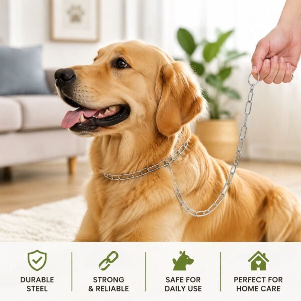 Heavy Duty Dog Chain Leash – Durable 67-inch Pet Tether for Control