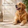 Heavy Duty Dog Chain Leash – Durable 67-inch Pet Tether for Control