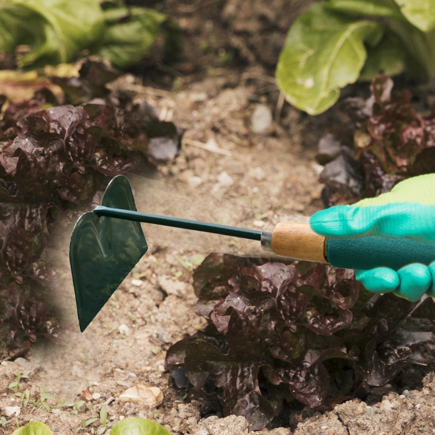 174004_95068c72-681b-4741-87f8-903eaea945ee Gardening Hoe – Durable Carbon Steel Hand Tool for Weeding | ToolMate Pro