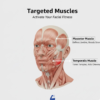 Jawline Exerciser – Dark Blue for Sculpting & Defining Jaw | FitFuzion