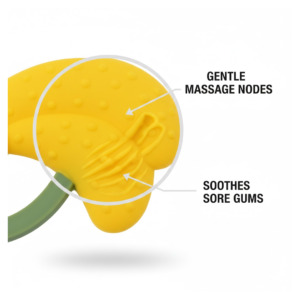 Baby Silicone Teether – Food Grade, Non-Toxic Relief | Little Learners