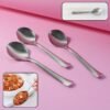 Dining Spoons Set of 3 – Rust-Resistant & Easy to Clean