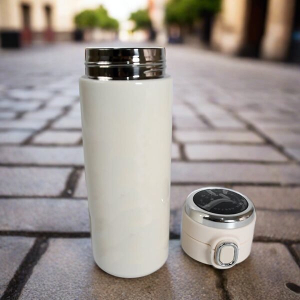 Smart Insulated Water Bottle – LED Temp Display, 420ml | Bottlart