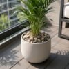Decorative River Pebbles – Versatile Natural Stones for Indoor & Outdoor