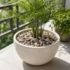 Decorative Natural Pebbles – Smooth River Stones for Home & Garden