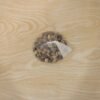Decorative Natural Pebbles – Smooth River Stones for Home & Garden