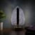 LED Crystal Table Lamp – Elegant Leaf Design with USB Power