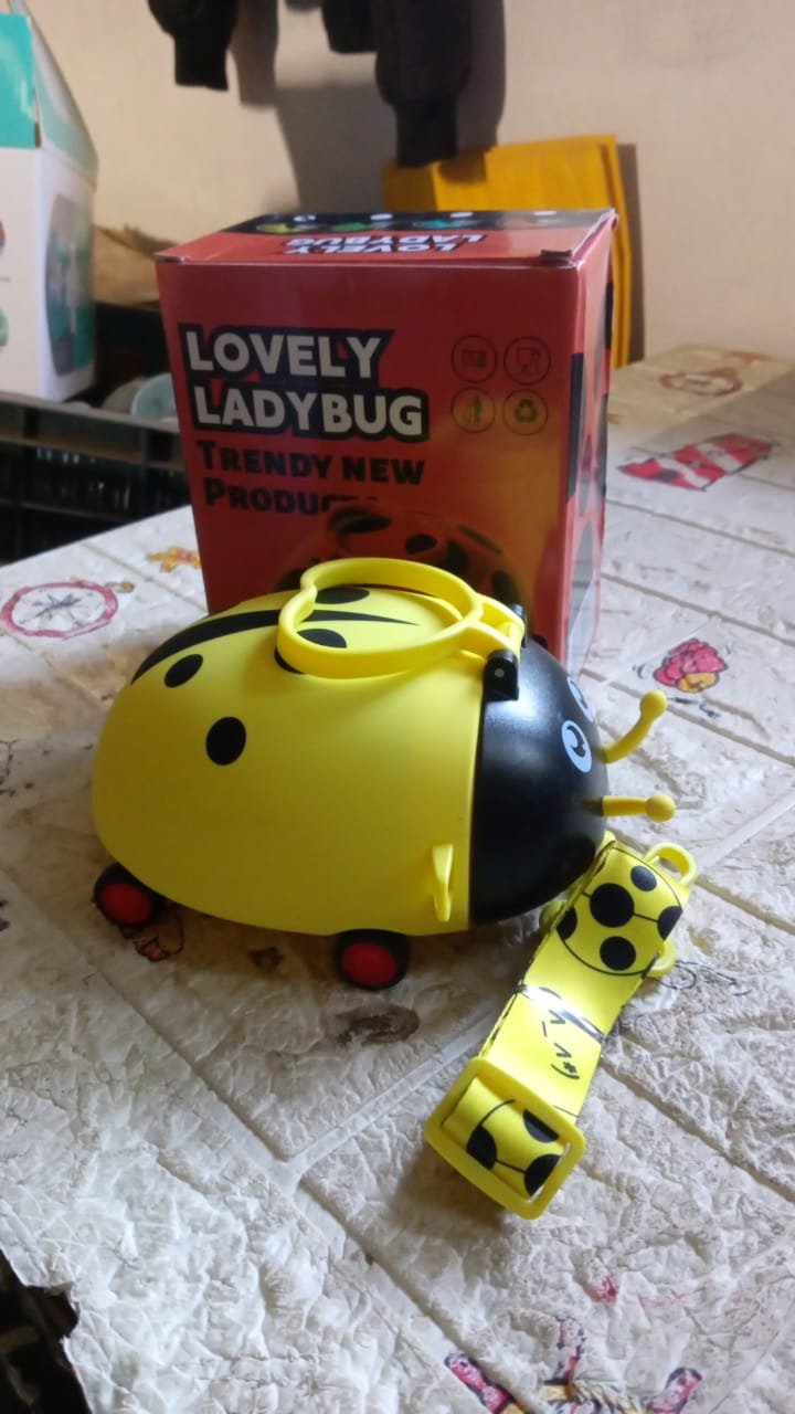Kids Water Bottle – Cute Bug Shape, 1L with Straw & Strap | Own Hydrate
