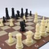 2_364e8b0b-3b4f-44d5-91c3-94d5cf26fe9e Chess & Checkers Travel Game Set – Portable Foldable Board
