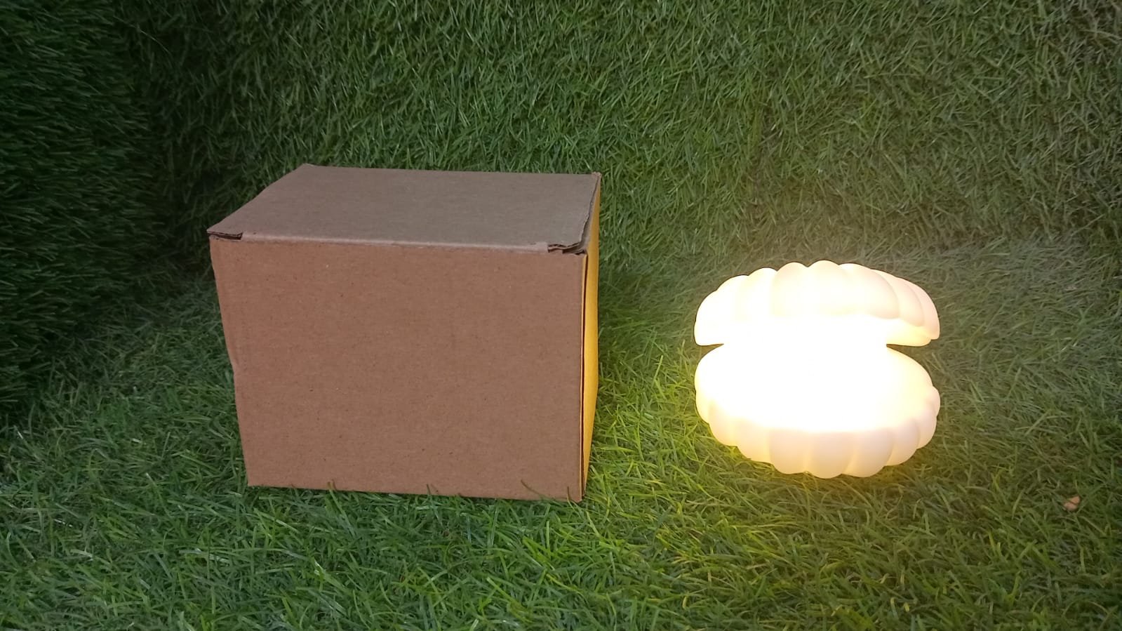 Pearl Shell Night Lamp – Elegant LED Decor | Indo Glow
