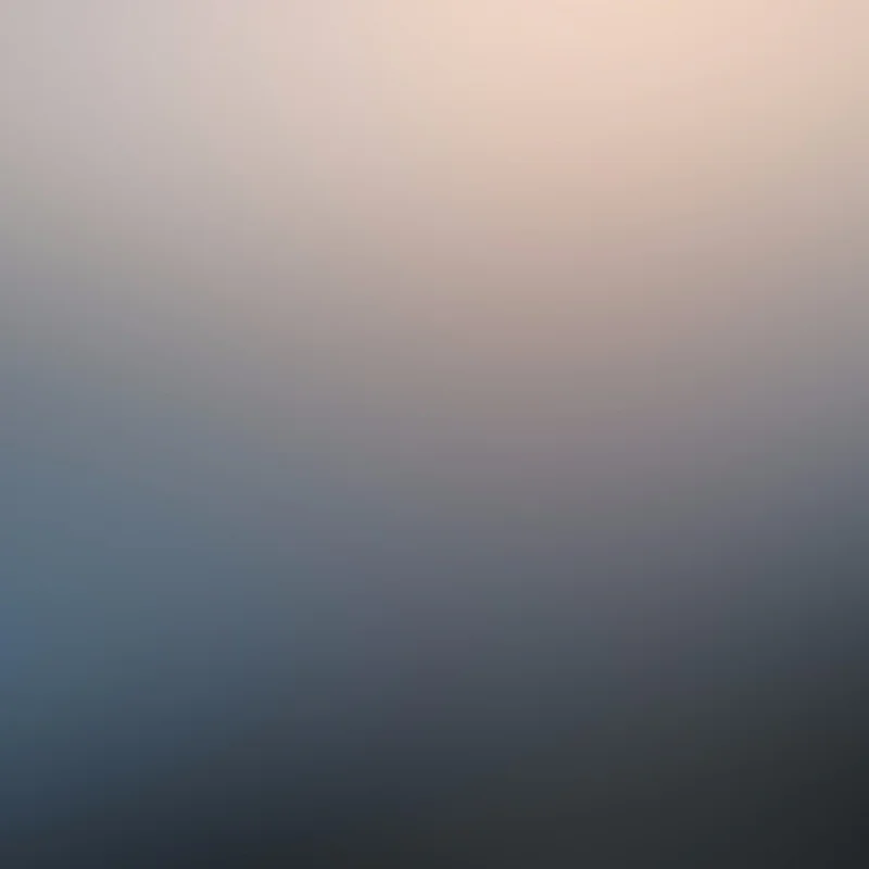 30503389507_d4e89a2d48_o_d-1000×1000-1.webp