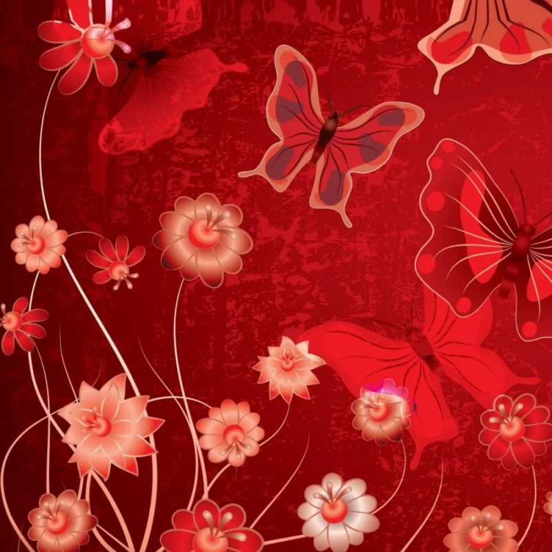 31568252388_b1b025f022_o_d-1000×1000-1.webp