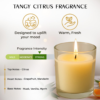 Blueberry Scented Candle – Soy-Blend Votive in Glass, 50gm