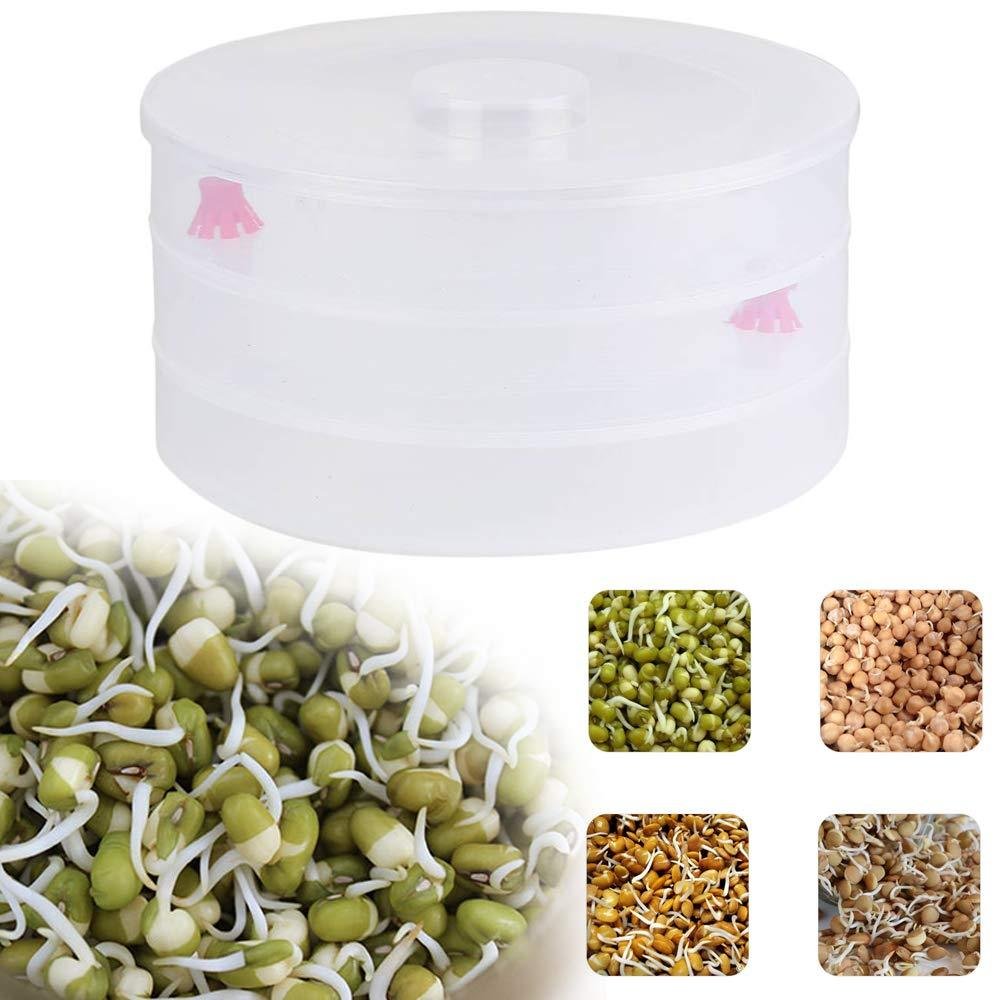 3 Compartment Sprout Maker – Hygienic & Healthy | Tidy Table