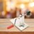 Coconut Scraper with Wooden Base – Safe & Durable | Quickslice