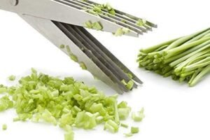 5-Blade Herb Scissors – Stainless Steel Kitchen Cutter | Quickslice