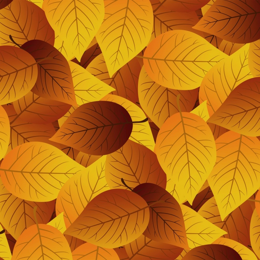 Autumn Leaf Mobile Case Cover - Image 2