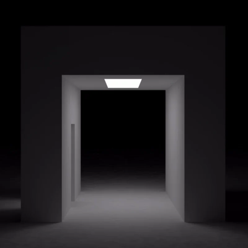 45391598762_a1f8afc5d0_o_d-1000×1000-1.webp