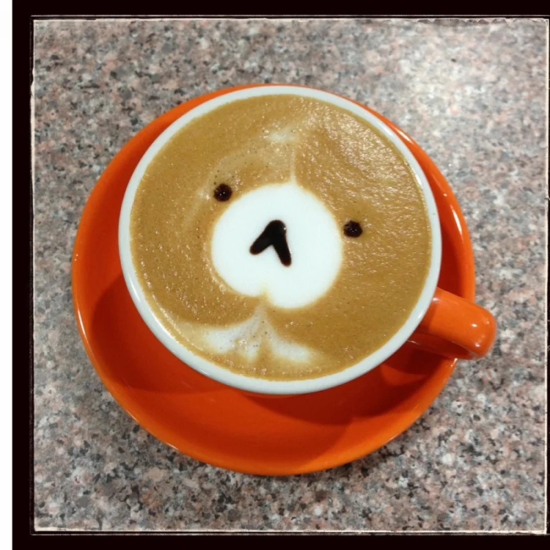 45391655672_0b6946a0e2_o_d-1000×1000-1.webp