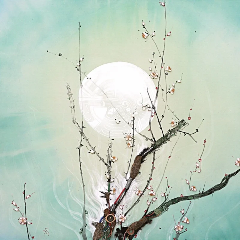 45443622861_ff9d39363c_o_d-1000×1000-1.webp