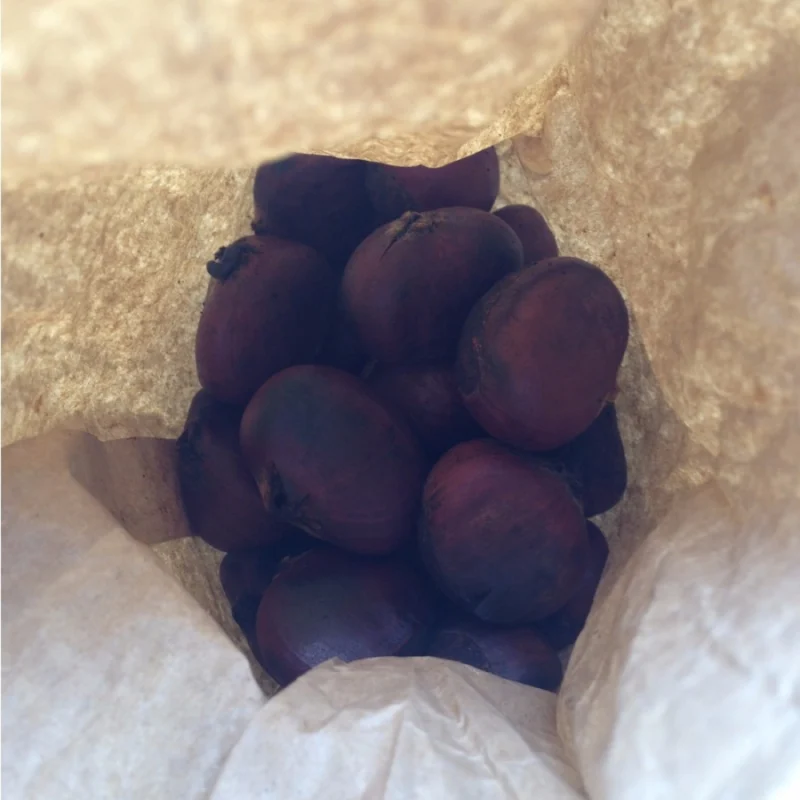 45443623581_45a12ebe1d_o_d-1000×1000-1.webp
