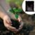 Organic Vermicompost – 1 KG Black Soil Manure for Plants | Grow Vanta