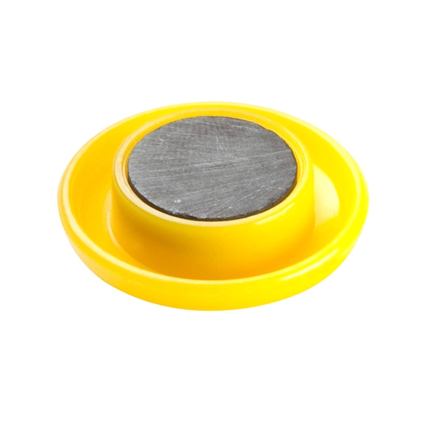 Board Magnets – Vibrant Circular Plastic for Whiteboards | Deskura