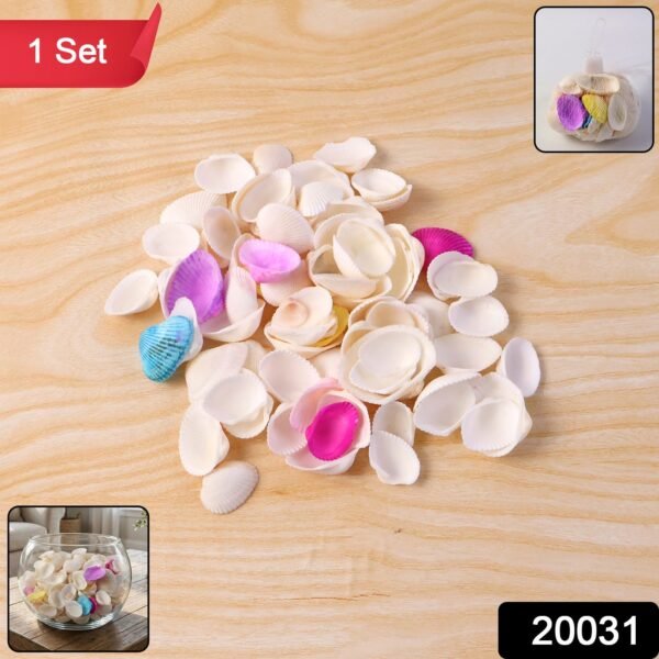 Decorative Seashells Set – Natural Vase Fillers for Home Decor
