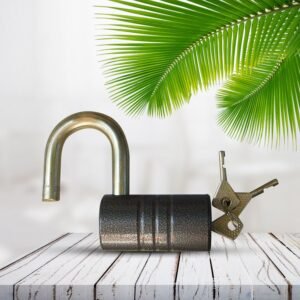 Iron Padlock – 82mm Heavy-Duty Brass Core | FortiLock