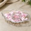 Crystal Glass Turtle with Plate Tray Set for Vastu and Home Decor (2 Pc Set)