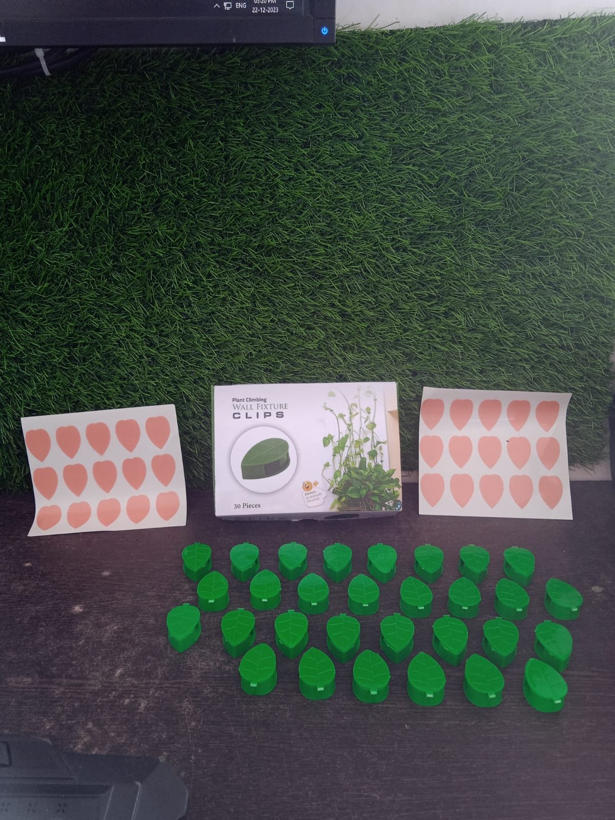 Plant Climbing Clips – Self-Adhesive Leaf Design | Indo Glow