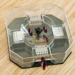 Cockroach Trap Box – Reusable Pest Killer for Home