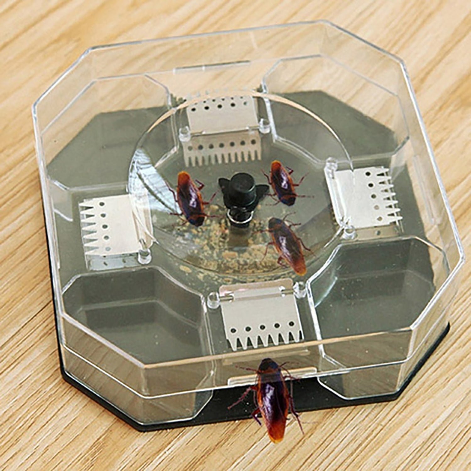 Cockroach Trap Box – Reusable Pest Killer for Home