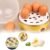 Electric Egg Boiler – 1-Layer Auto Shut-Off Poacher | Indo Glow