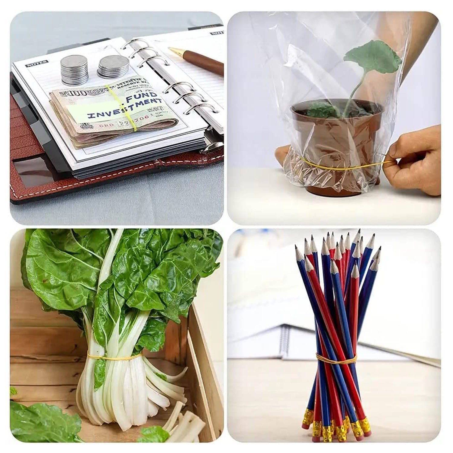 Rubber Bands – Multicolor, Strong & Reusable for Home & Office | VoltDesk