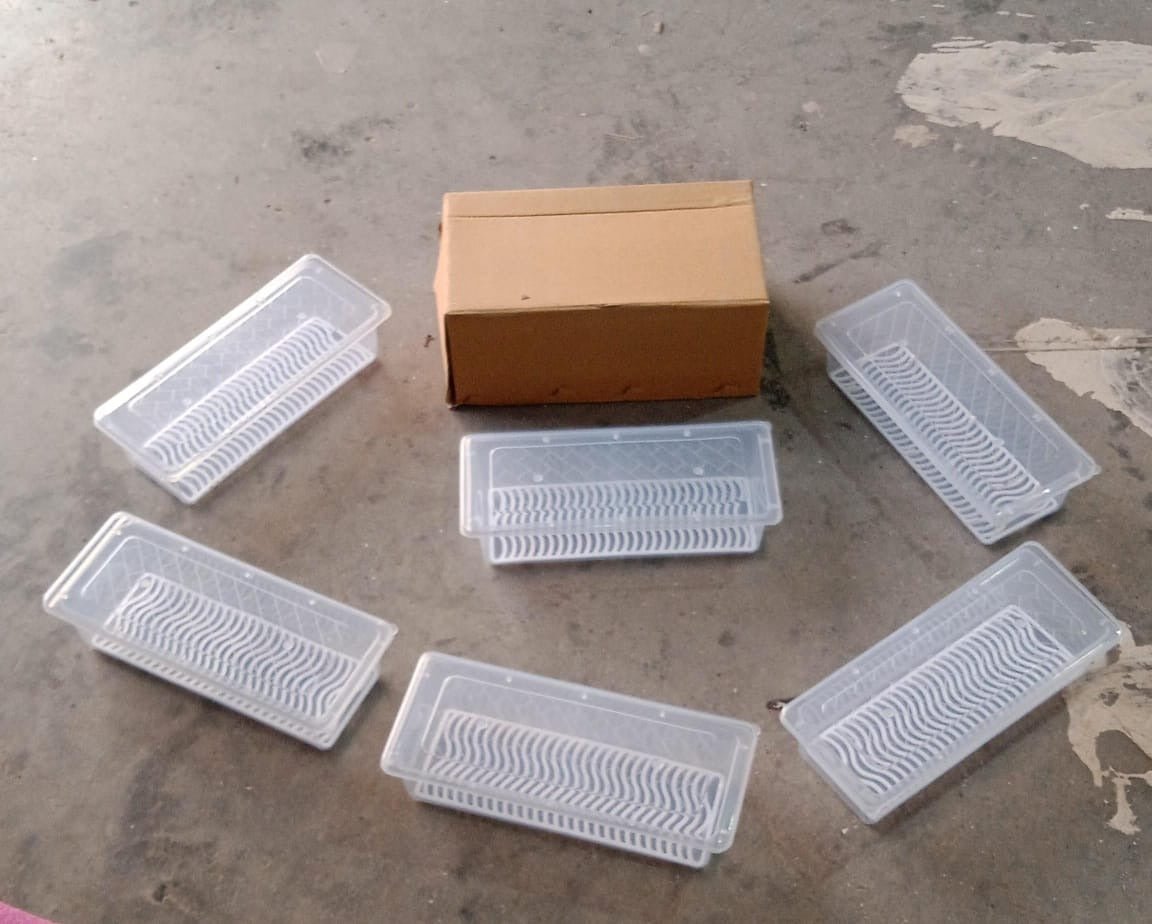 Freezer Storage Containers – 6-Pack 1500ML with Drain Plate | Organivo